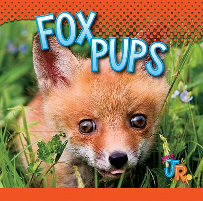 Vorderes Coverbild Fox Pups