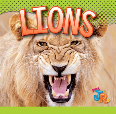 Vorderes Coverbild Lions