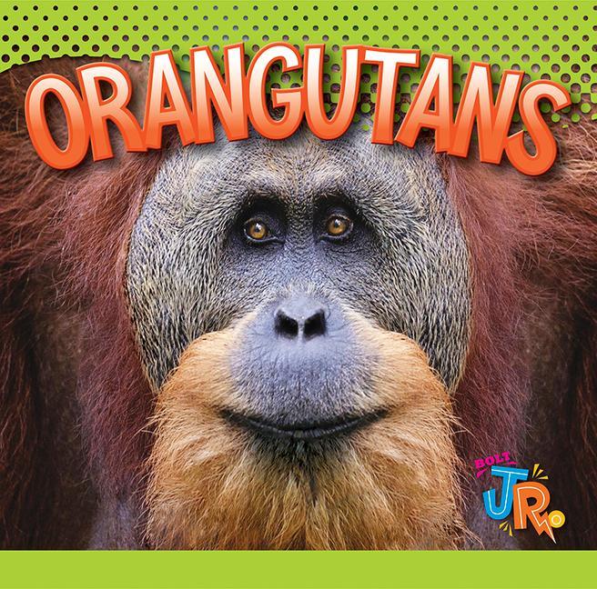 Vorderes Coverbild Orangutans