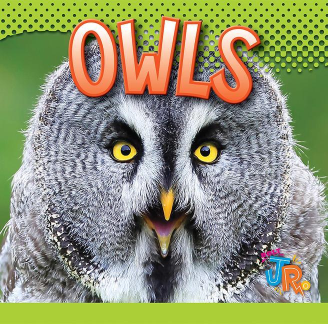 Vorderes Coverbild Owls