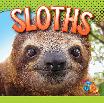 Vorderes Coverbild Sloths