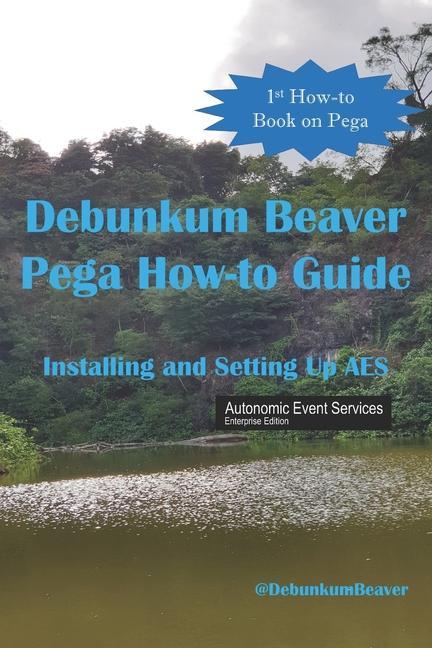 Vorderes Coverbild Debunkum Beaver How-to Guide: Installing and Testing AES