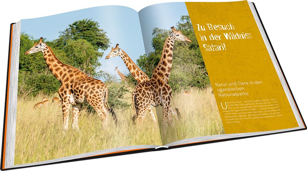 Beispielinhalt (Bild) Perle Afrikas