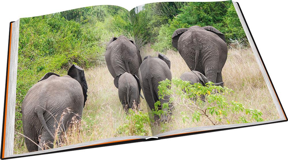 Beispielinhalt (Bild) Perle Afrikas