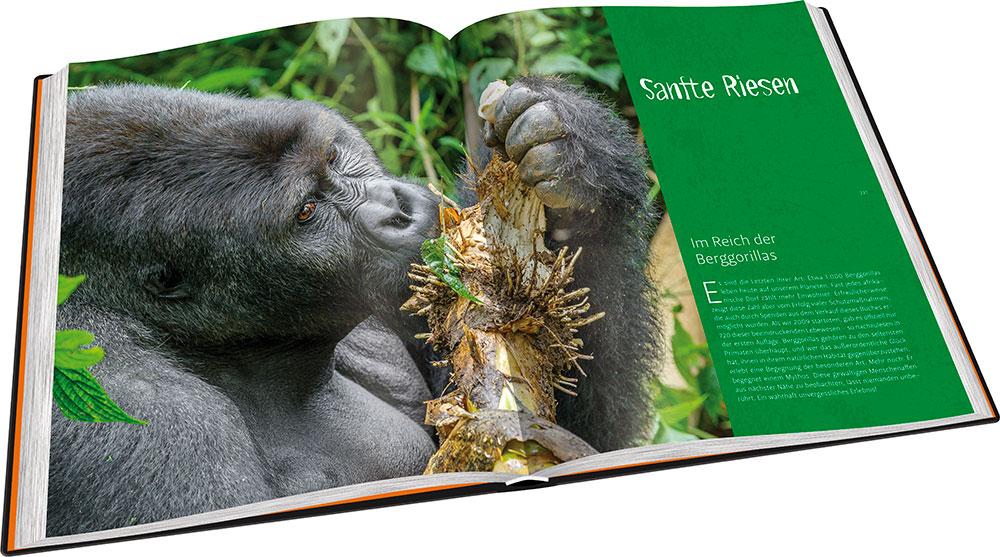 Beispielinhalt (Bild) Perle Afrikas