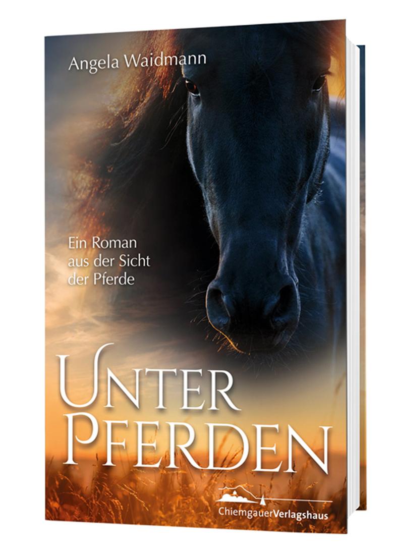 Vorderes Coverbild Unter Pferden