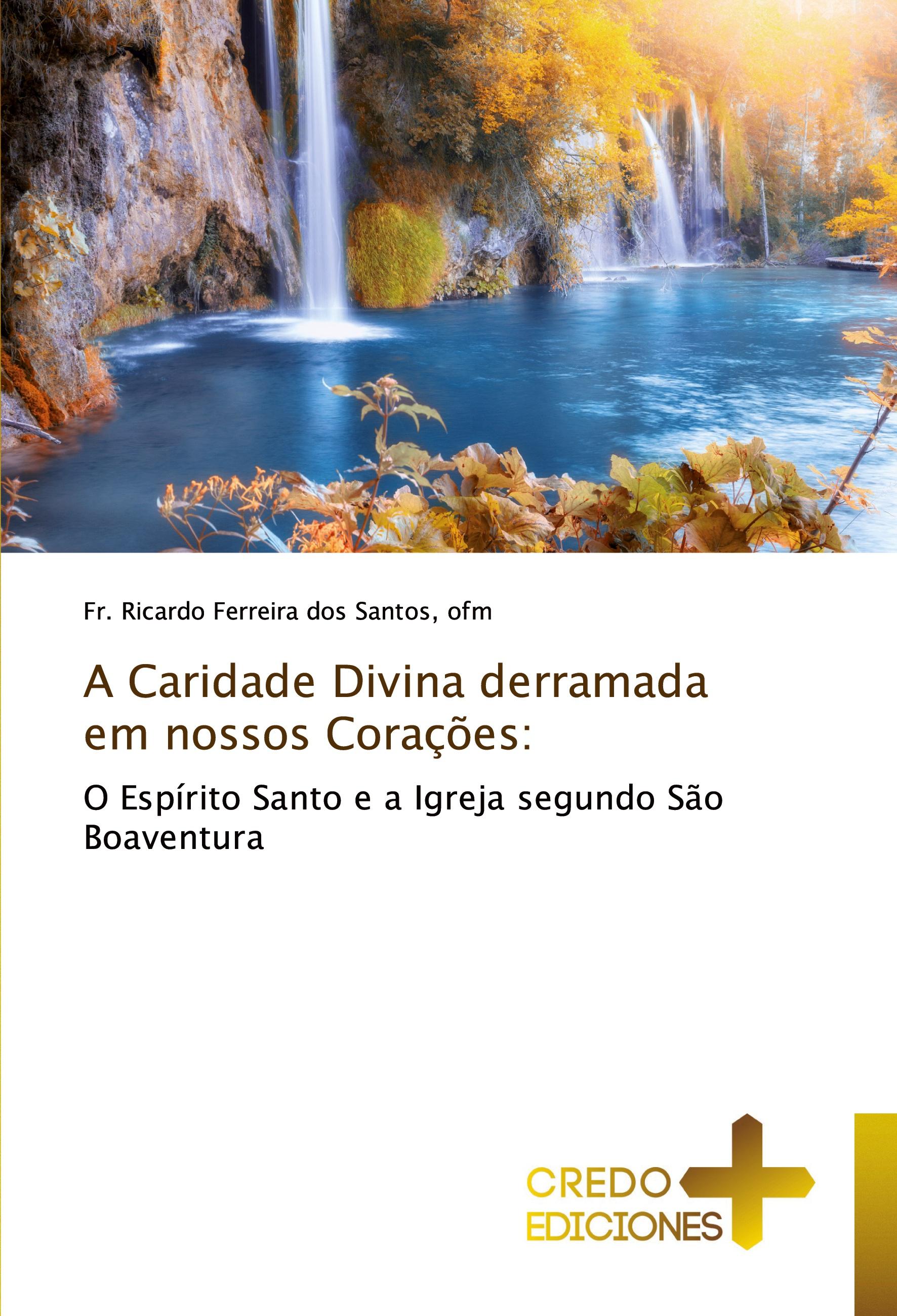 Vorderes Coverbild A Caridade Divina derramada em nossos Corações: