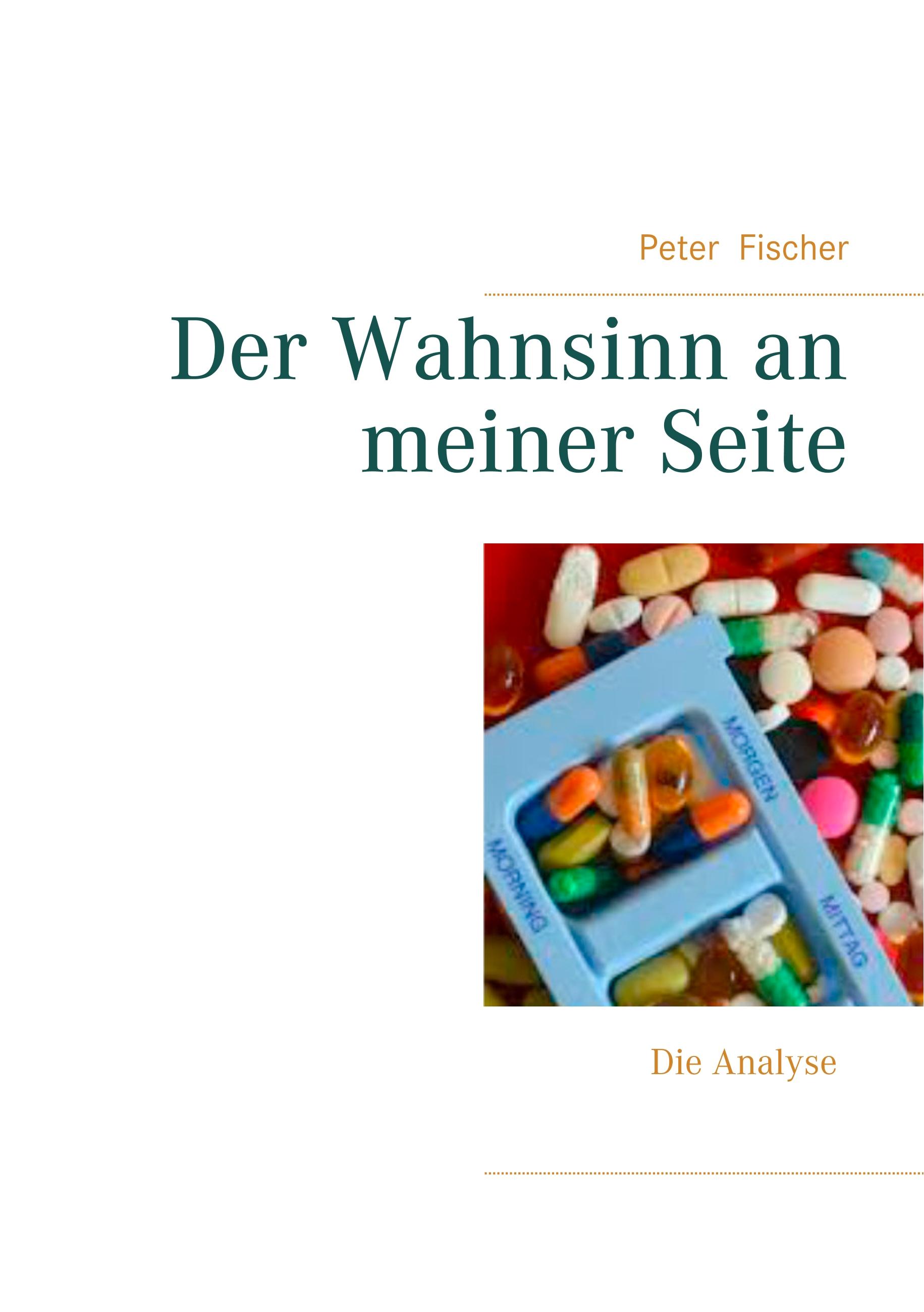 Vorderes Coverbild Der Wahnsinn an meiner Seite