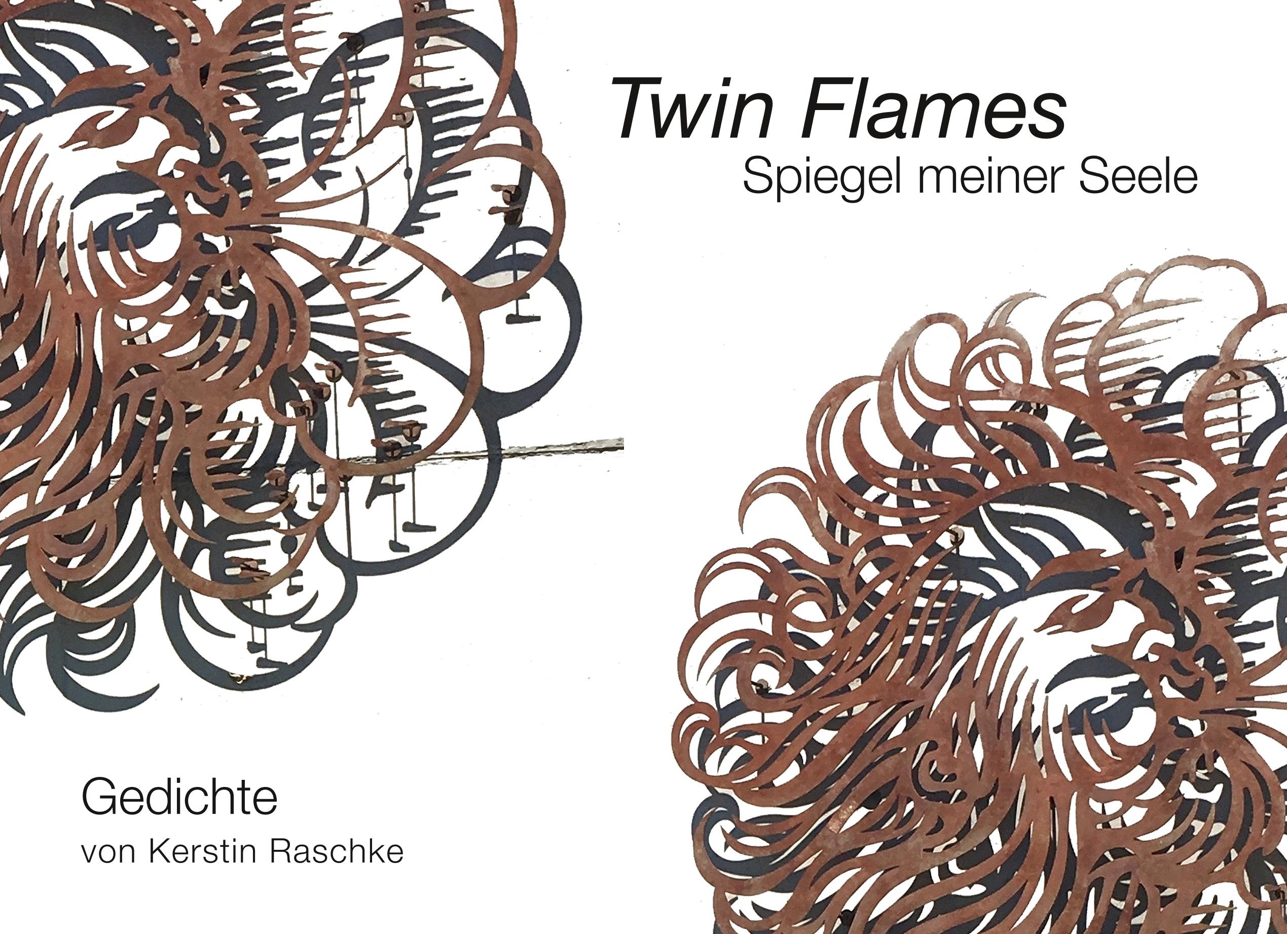 Vorderes Coverbild Twin Flames