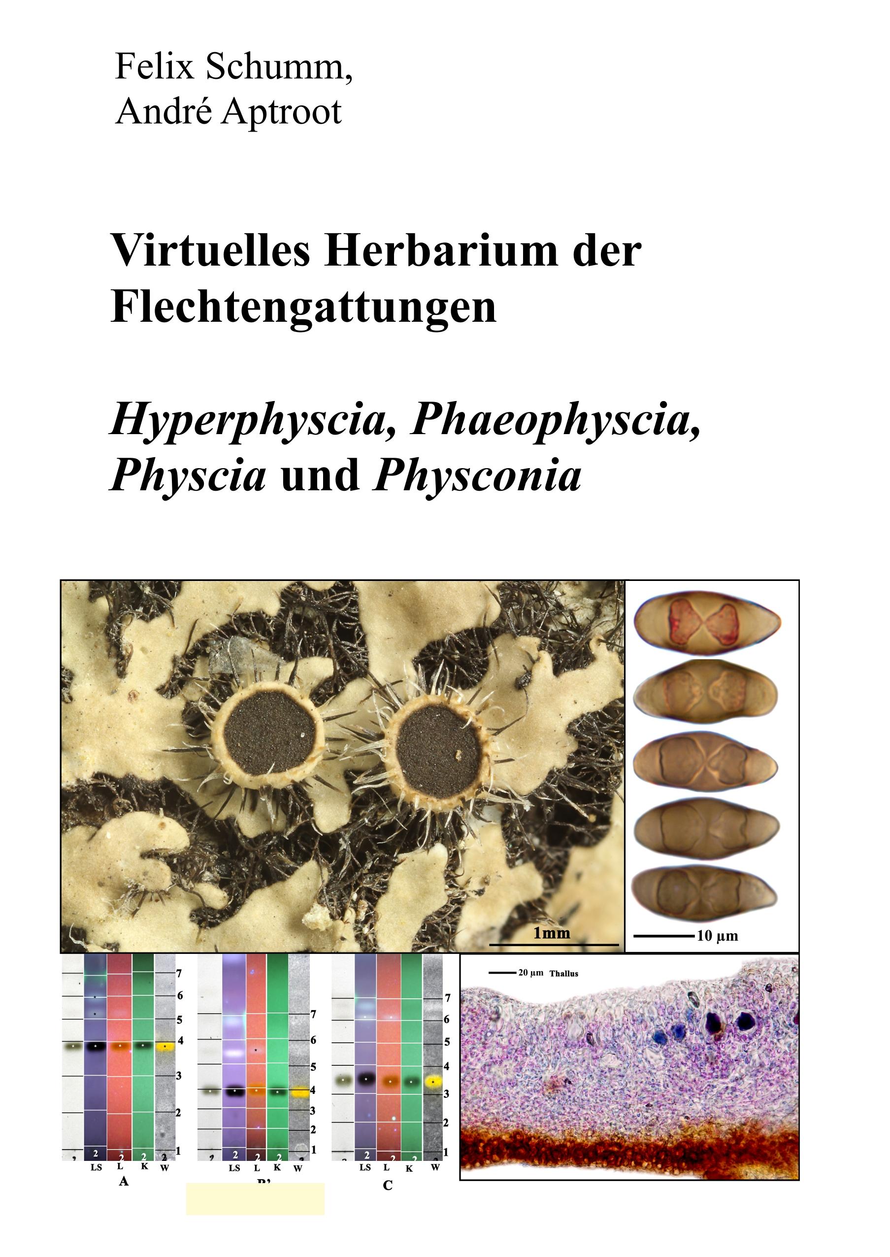 Vorderes Coverbild Virtuelles Herbarium der Flechtgattungen