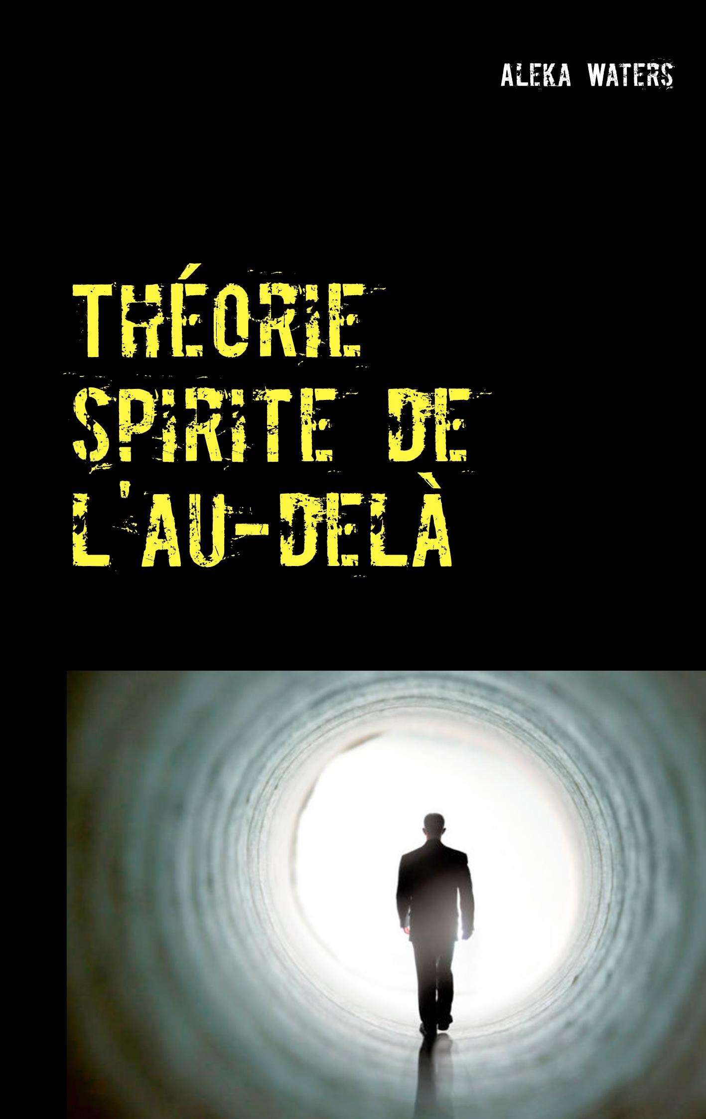 Vorderes Coverbild Théorie spirite de l'au-delà