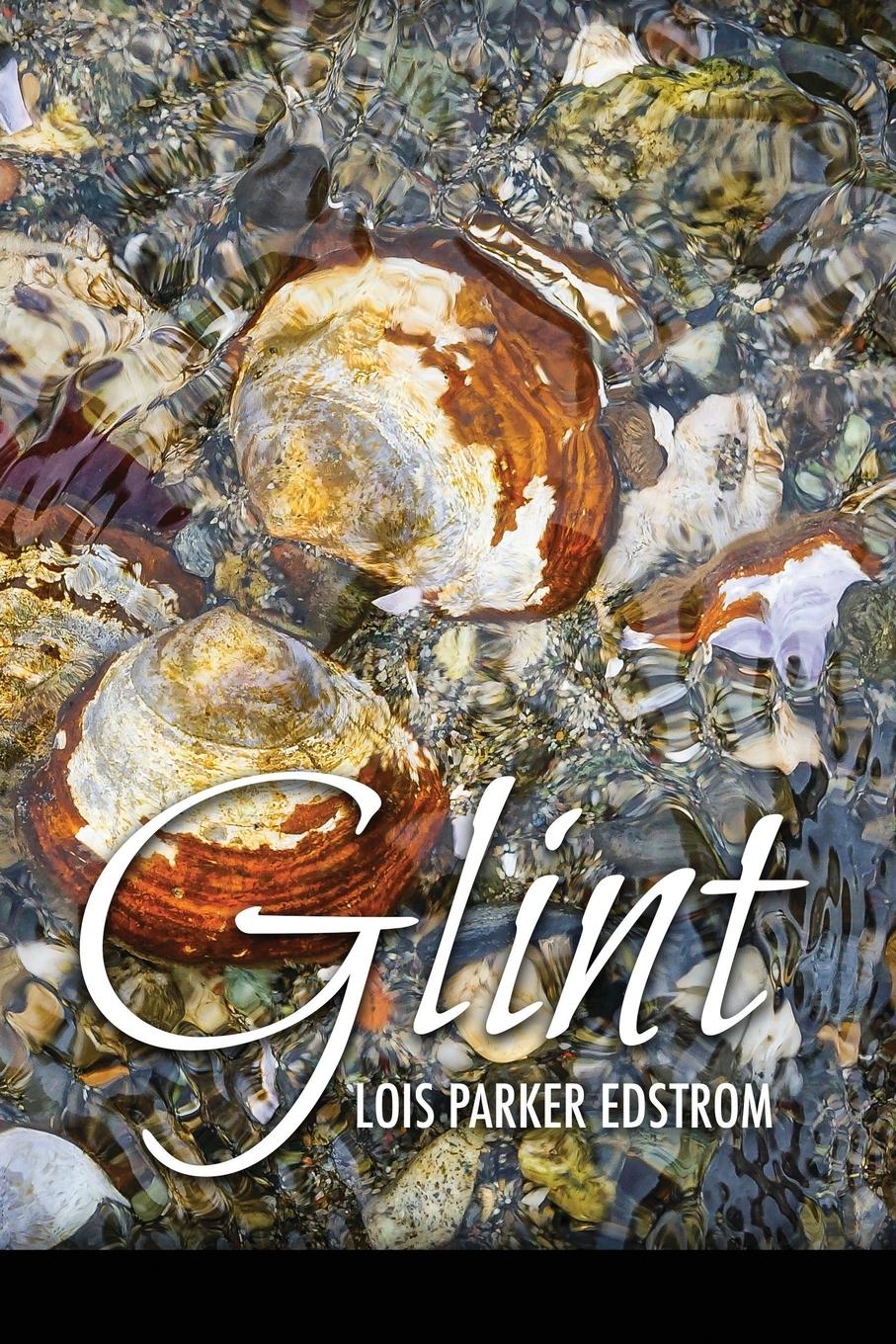 Vorderes Coverbild Glint