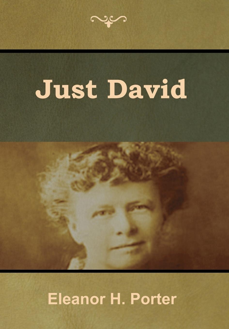 Vorderes Coverbild Just David