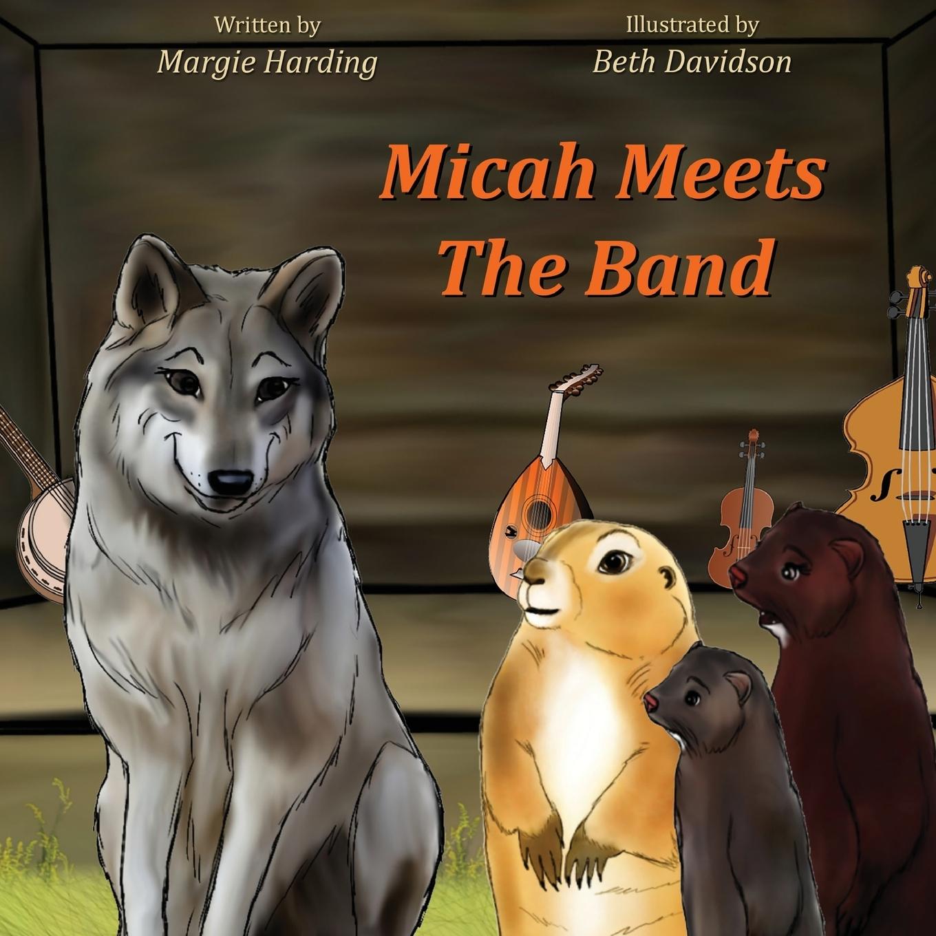 Vorderes Coverbild Micah Meets The Band