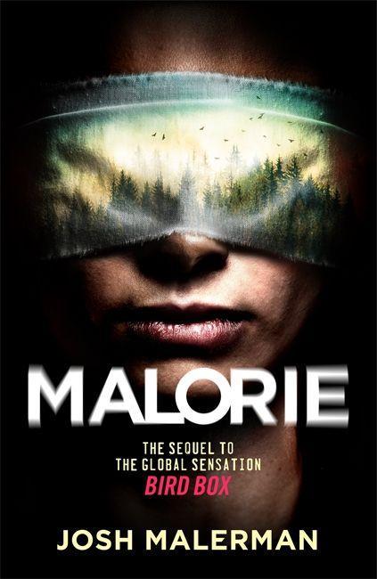 Vorderes Coverbild Malorie