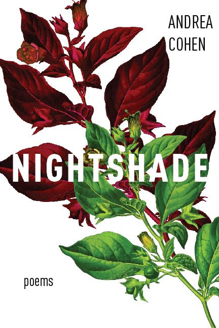 Vorderes Coverbild Nightshade