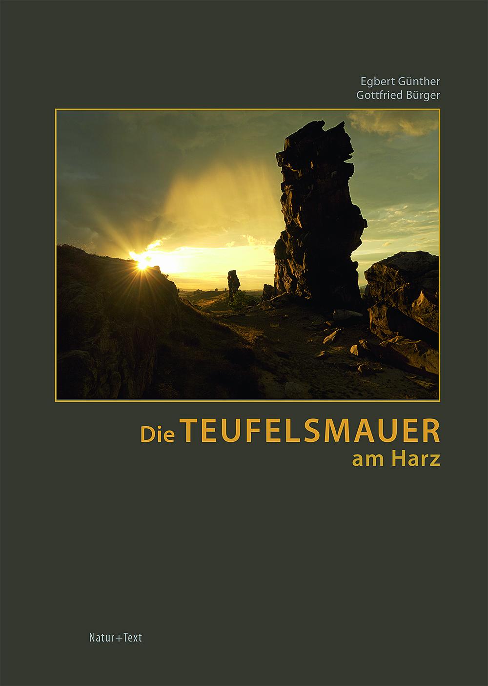 Vorderes Coverbild Die Teufelsmauer am Harz