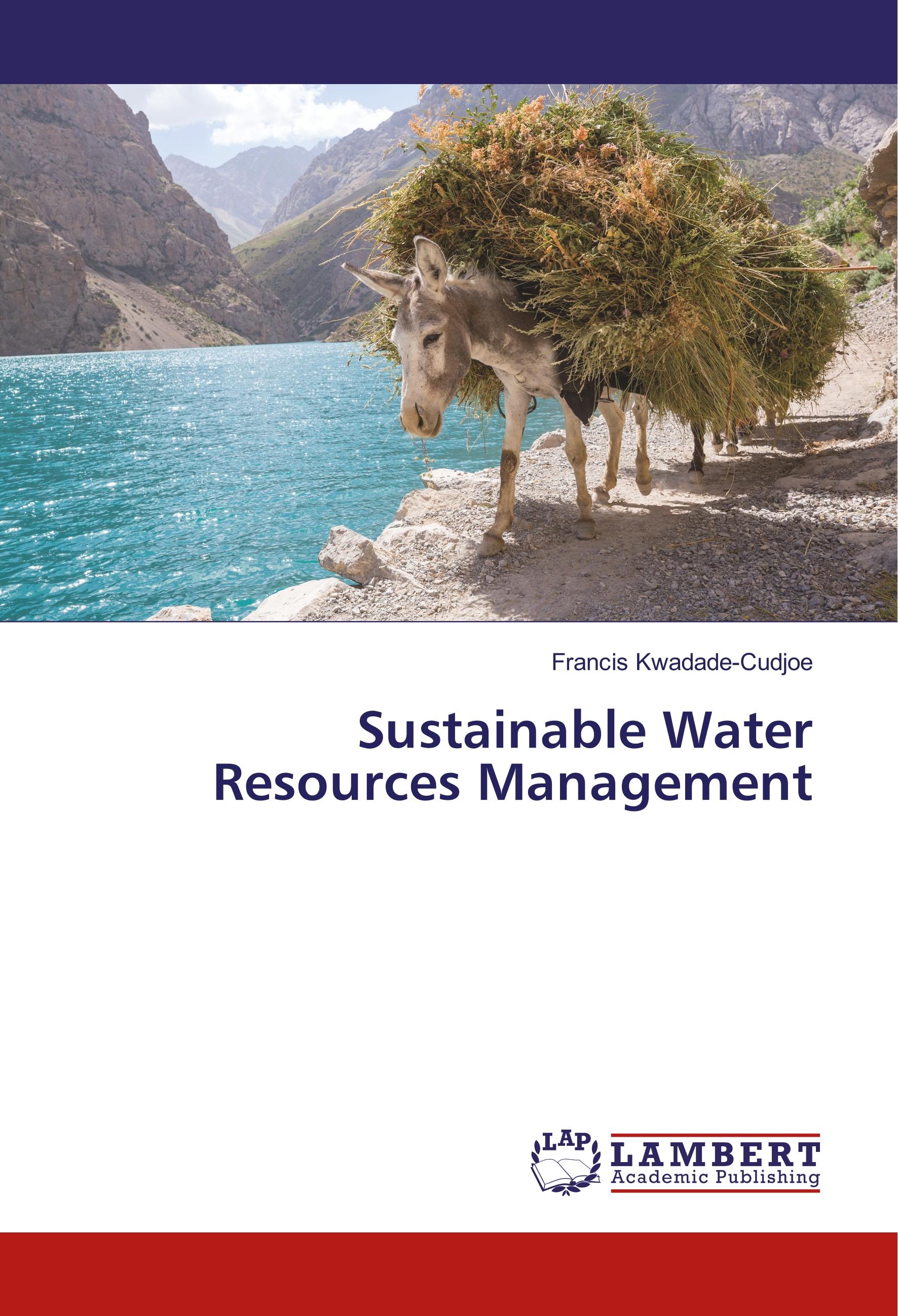Vorderes Coverbild Sustainable Water Resources Management