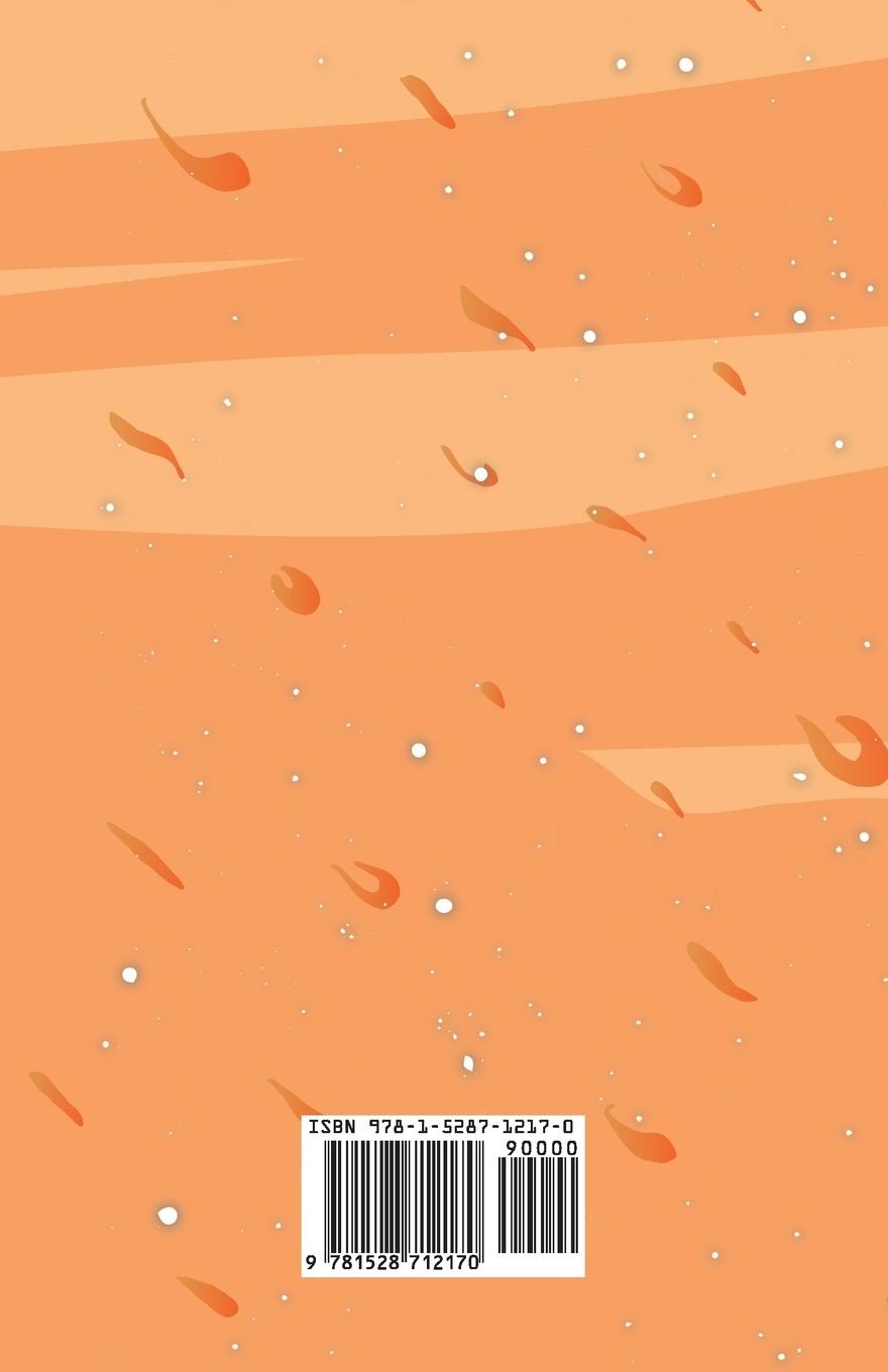 Rückseitencover Burning Daylight