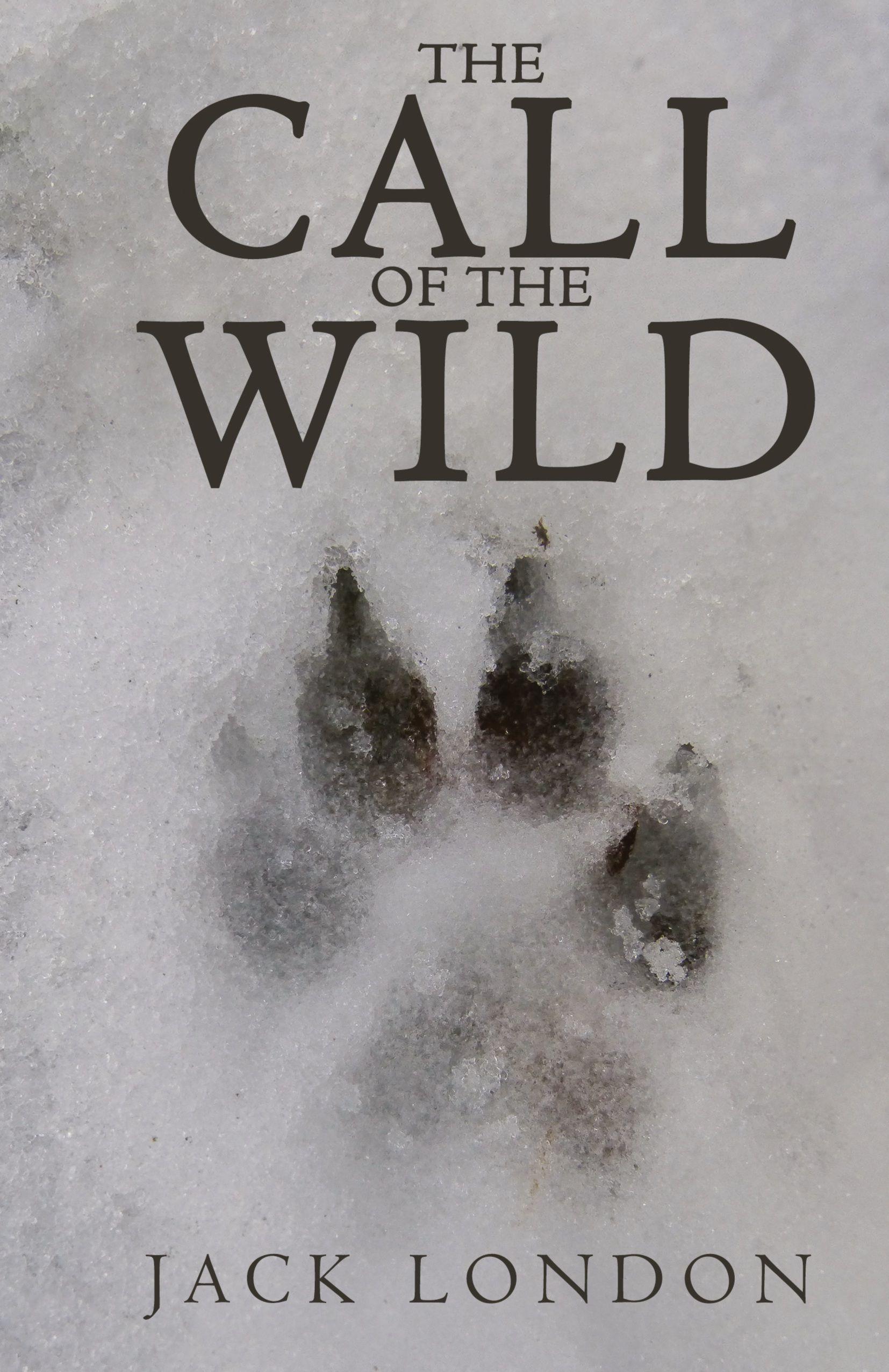 Vorderes Coverbild The Call of the Wild