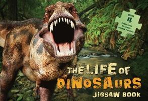 Vorderes Coverbild Dinosaur