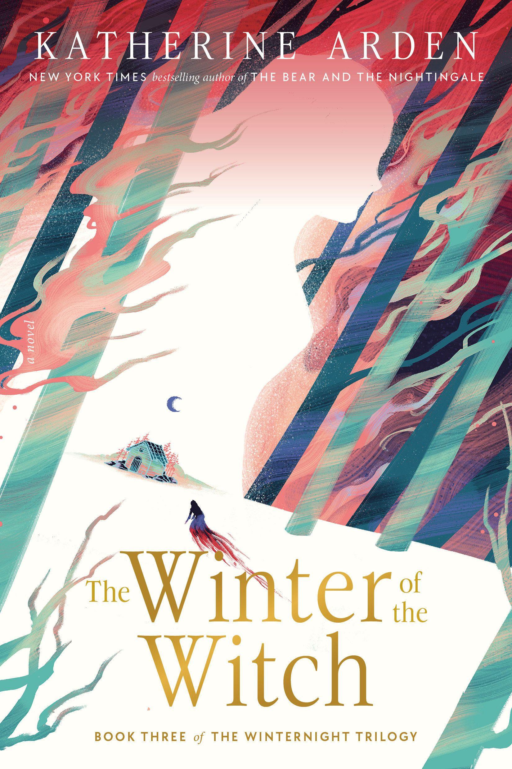 Vorderes Coverbild The Winter of the Witch