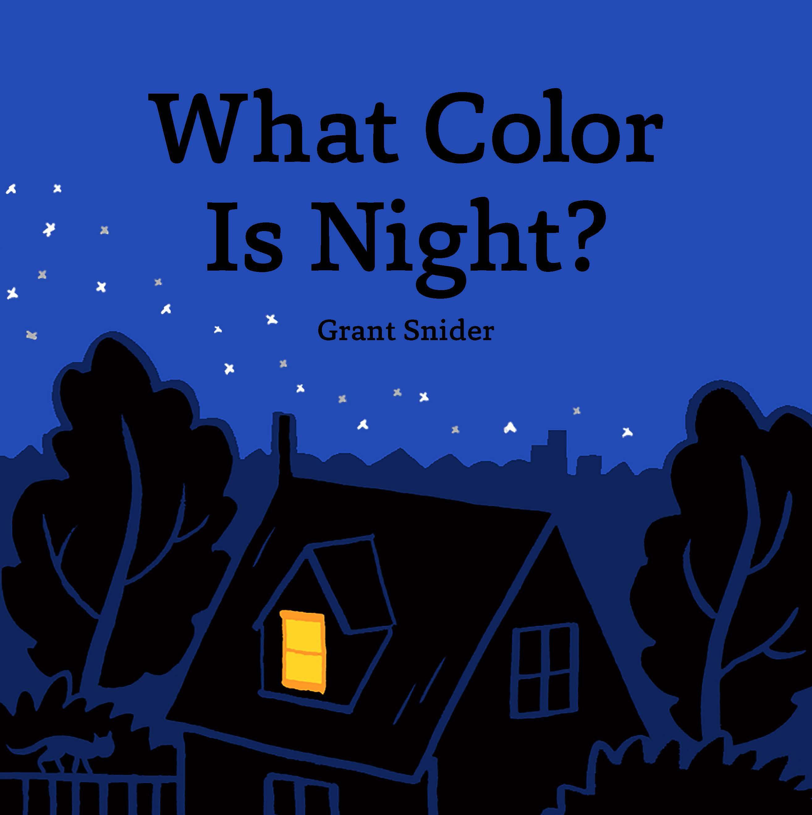 Vorderes Coverbild What Color Is Night?