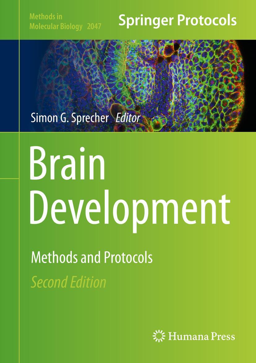 Vorderes Coverbild Brain Development