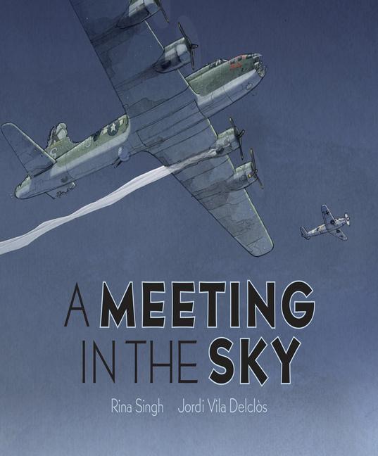 Vorderes Coverbild A Meeting in the Sky
