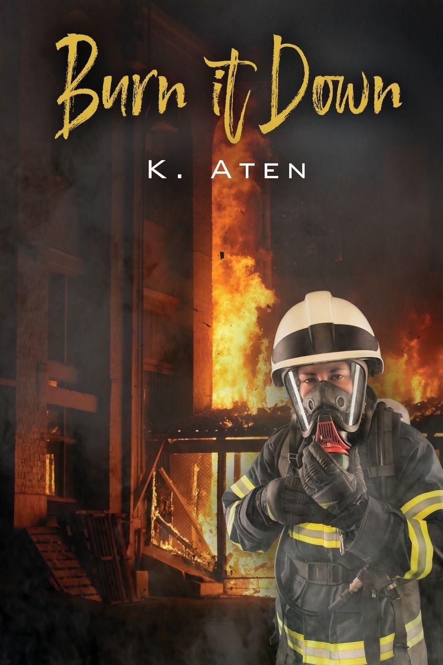 Vorderes Coverbild Burn It Down