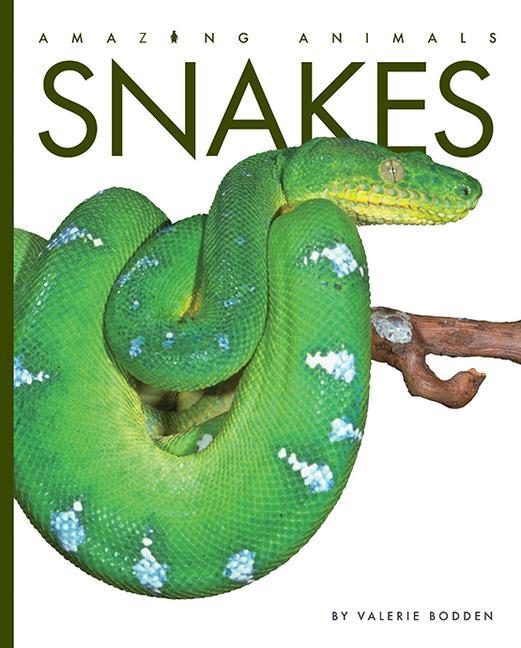 Vorderes Coverbild Snakes