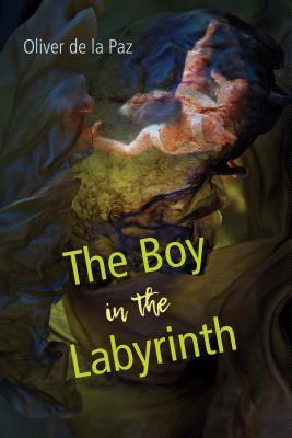 Vorderes Coverbild The Boy in the Labyrinth