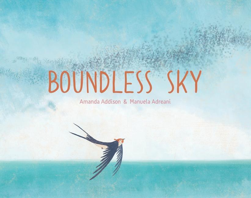 Vorderes Coverbild Boundless Sky