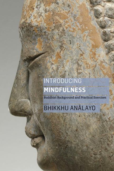 Vorderes Coverbild Introducing Mindfulness