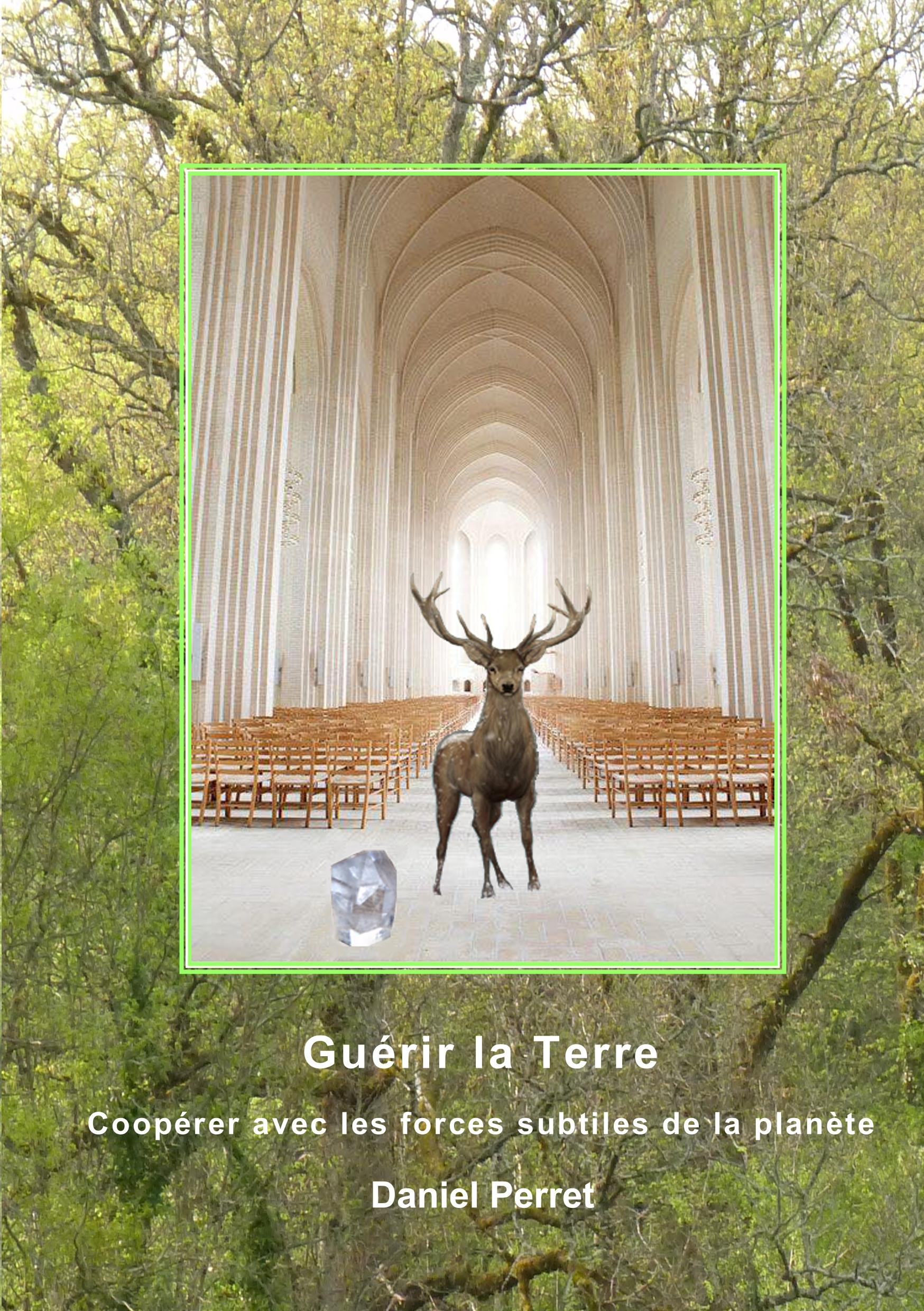 Vorderes Coverbild Guérir la Terre