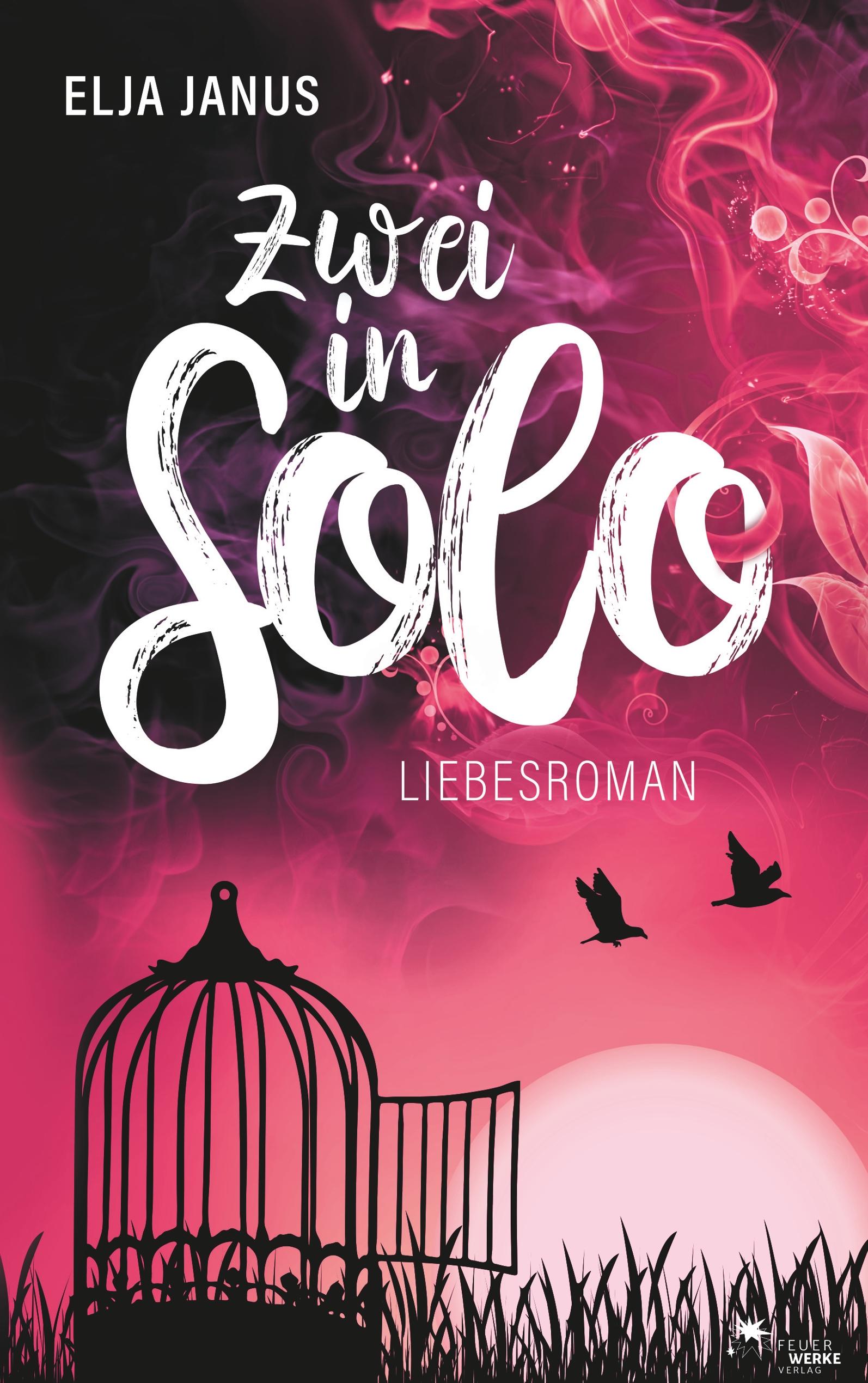 Vorderes Coverbild Zwei in Solo