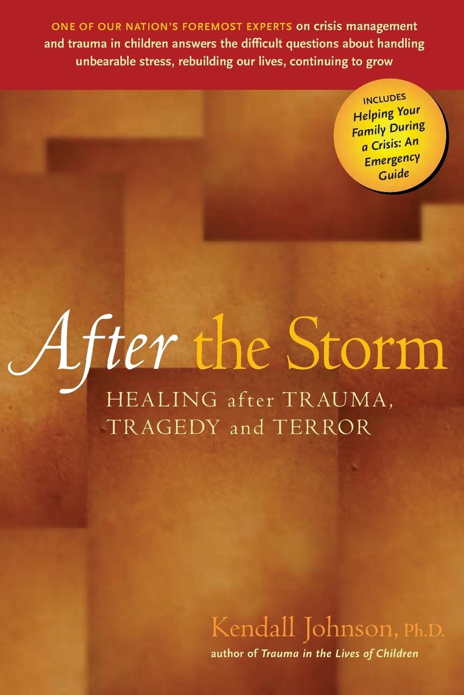 Vorderes Coverbild After the Storm