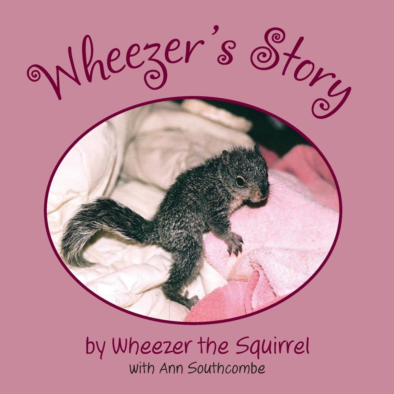 Vorderes Coverbild Wheezer's Story