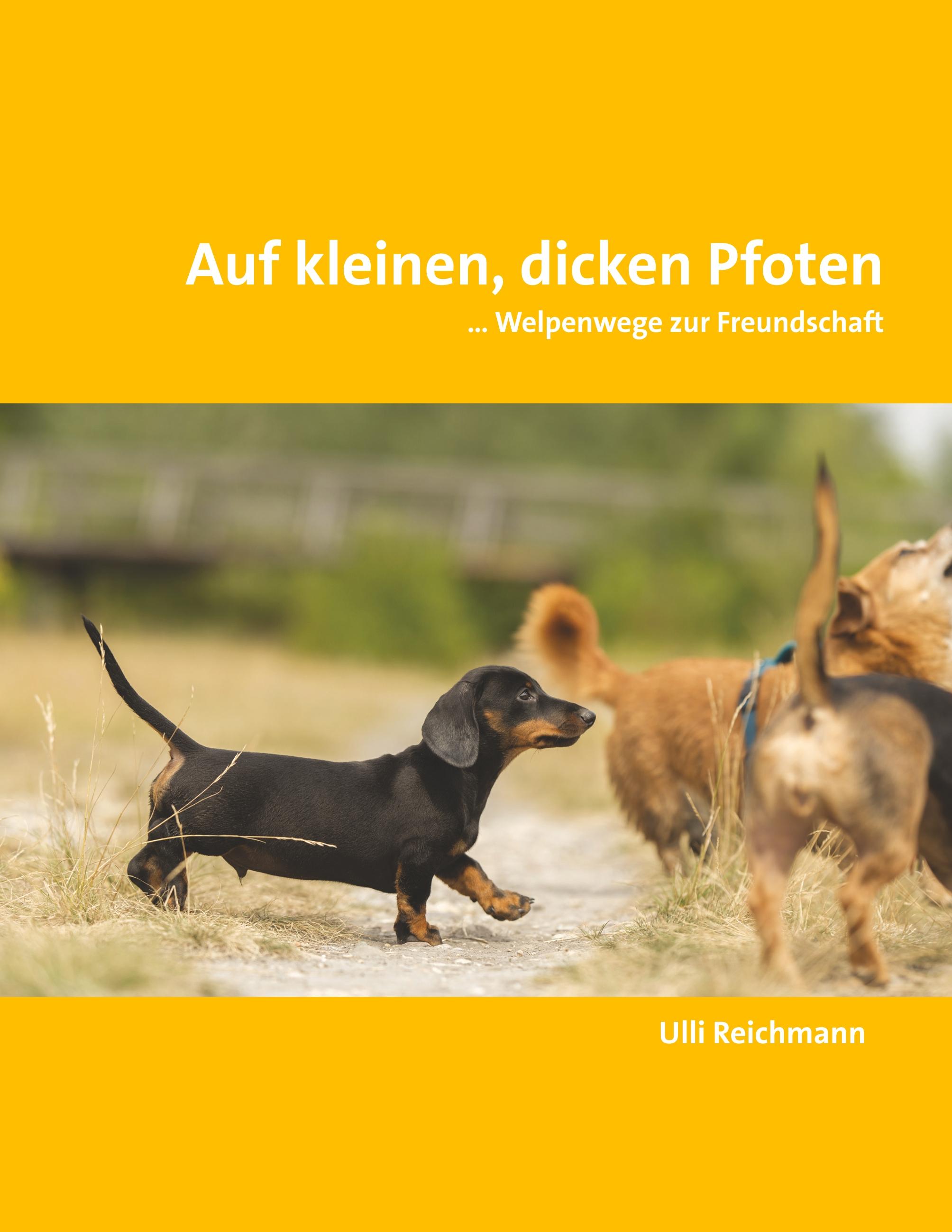 Vorderes Coverbild Auf kleinen, dicken Pfoten
