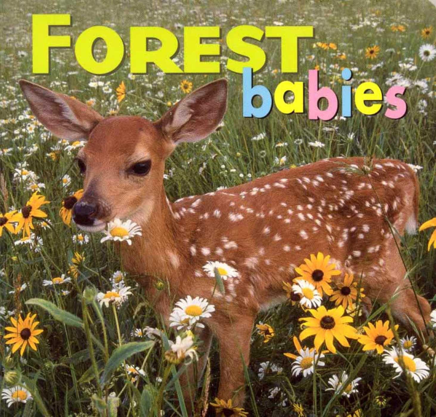 Vorderes Coverbild Forest Babies