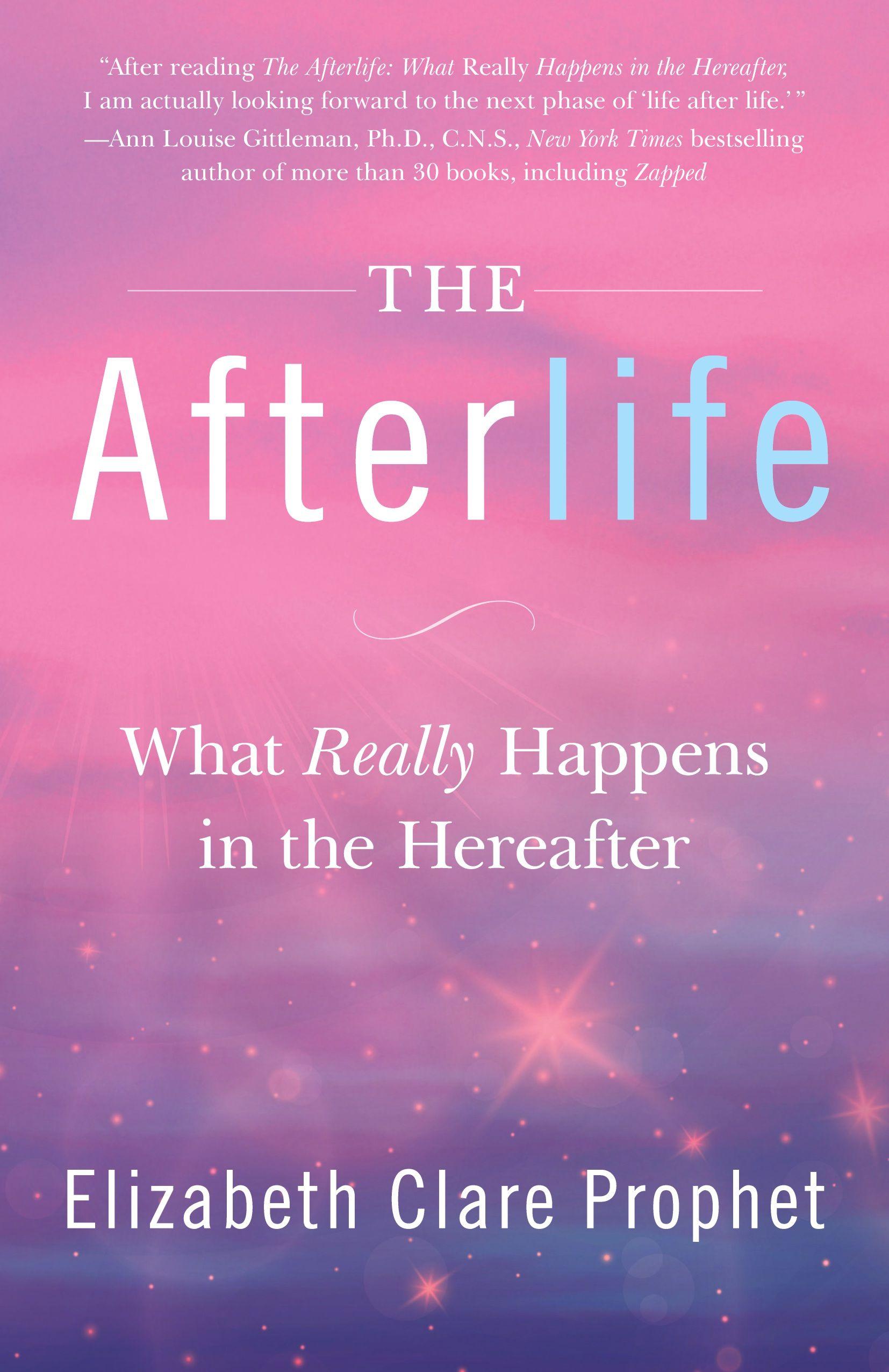 Vorderes Coverbild The Afterlife