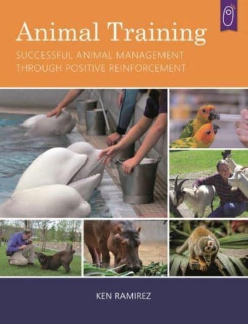 Vorderes Coverbild Animal Training