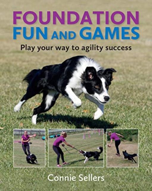 Vorderes Coverbild Foundation Fun And Games