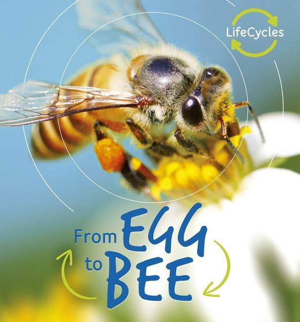 Vorderes Coverbild From Egg to Bee