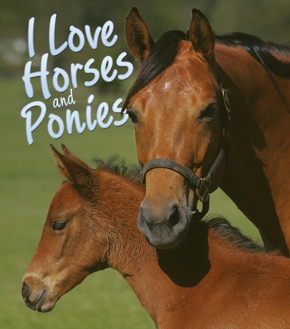 Vorderes Coverbild I Love Horses and Ponies