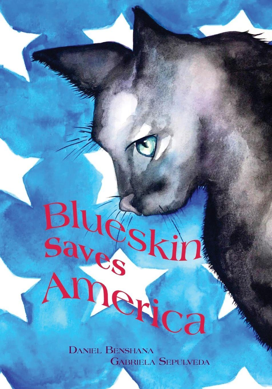 Vorderes Coverbild Blueskin Saves America