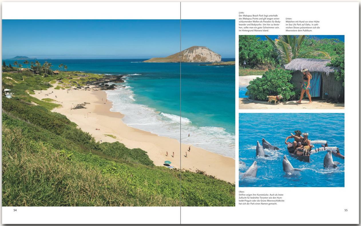 Beispielinhalt (Bild) Horizont Hawaii
