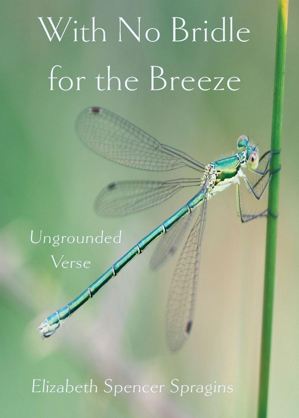 Vorderes Coverbild With No Bridle for the Breeze