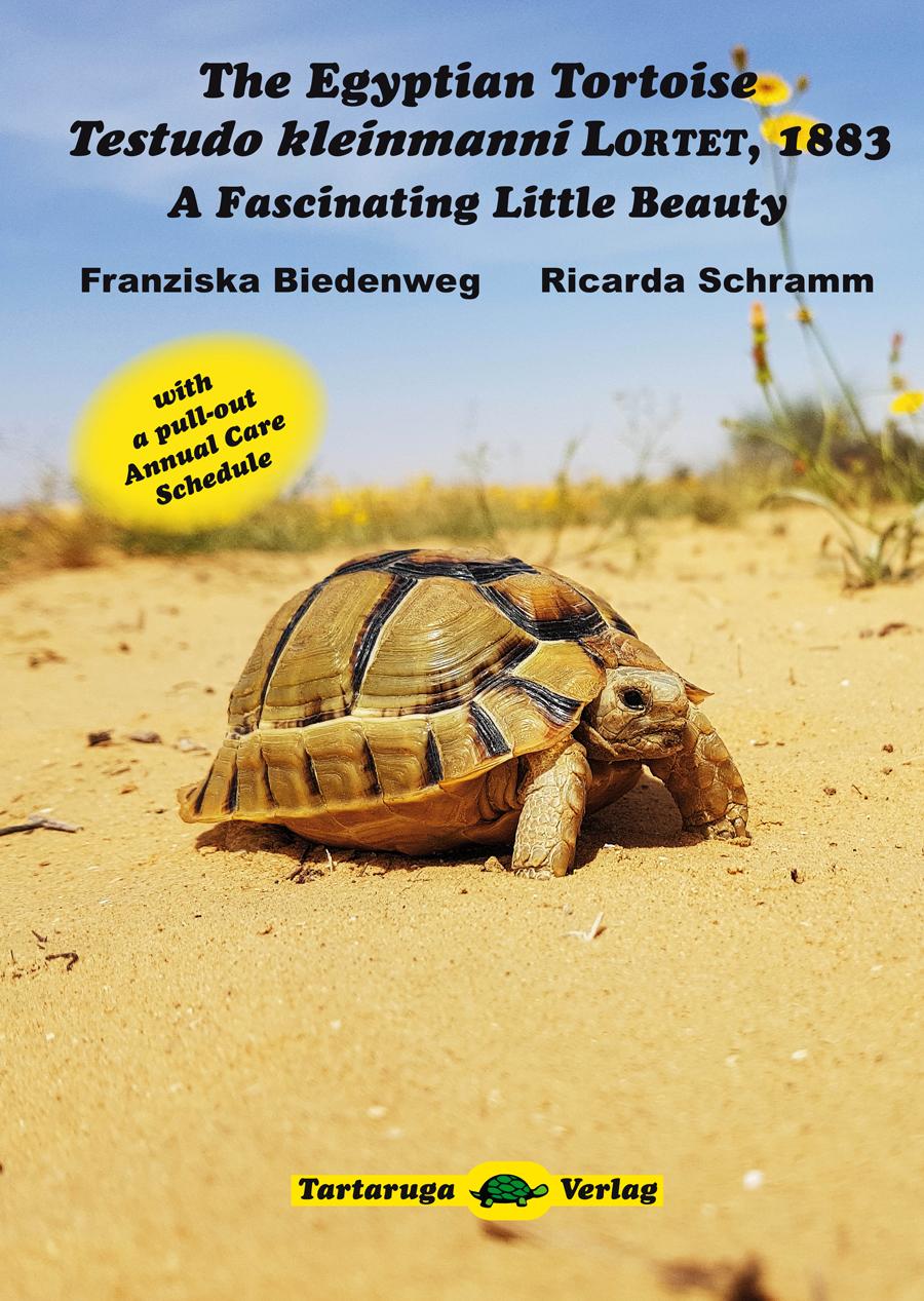 Vorderes Coverbild The Egyptian Tortoise, Testudo kleinmanni Lortet, 1883