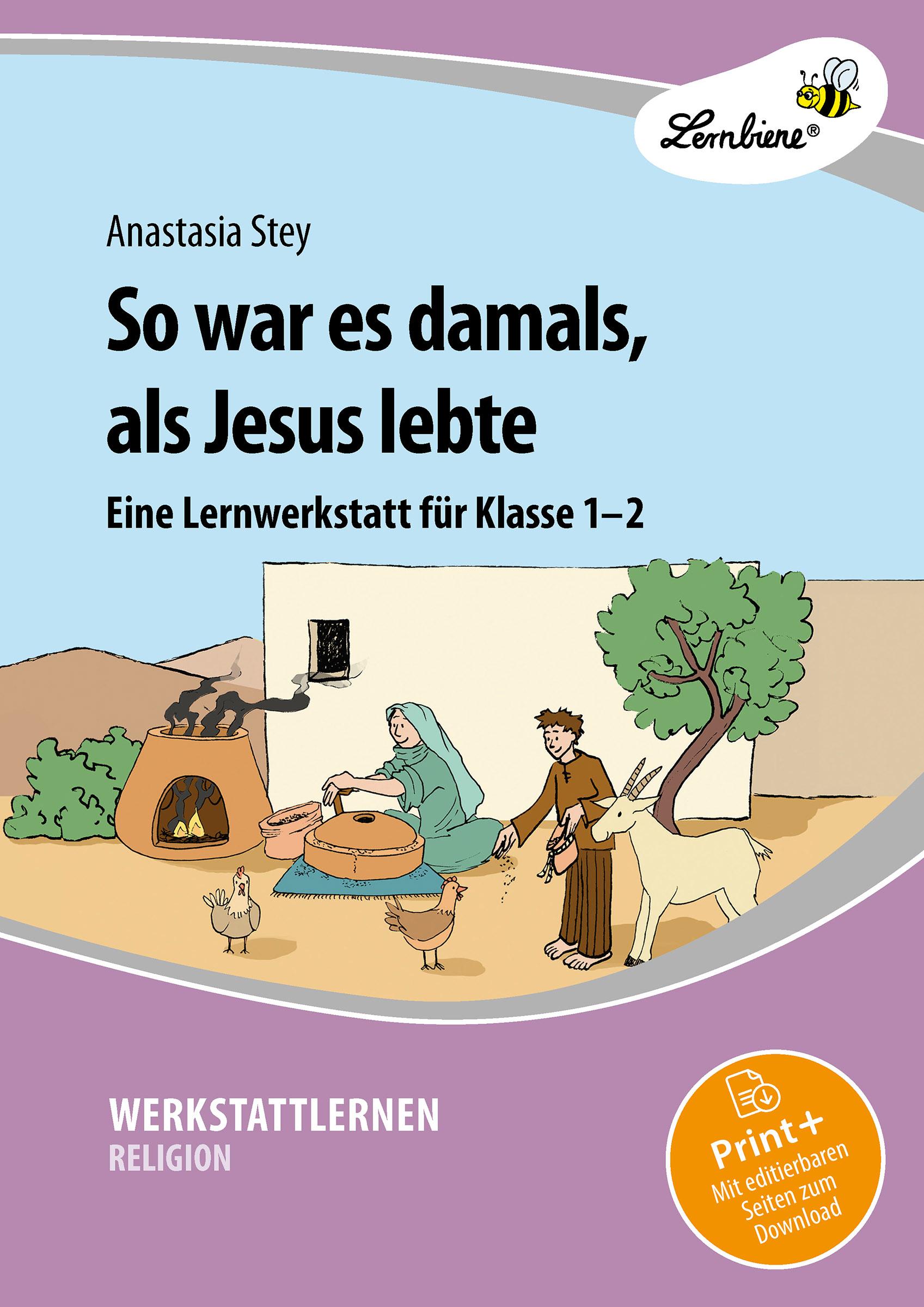 Vorderes Coverbild So war es damals, als Jesus lebte